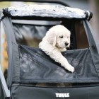 THULE Courier priekabėlė 10102001